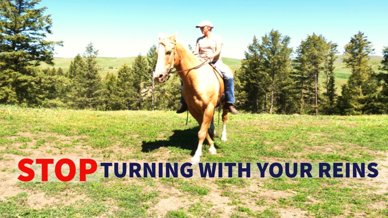 HOW TO TURN A HORSE WITH YOUR BODY