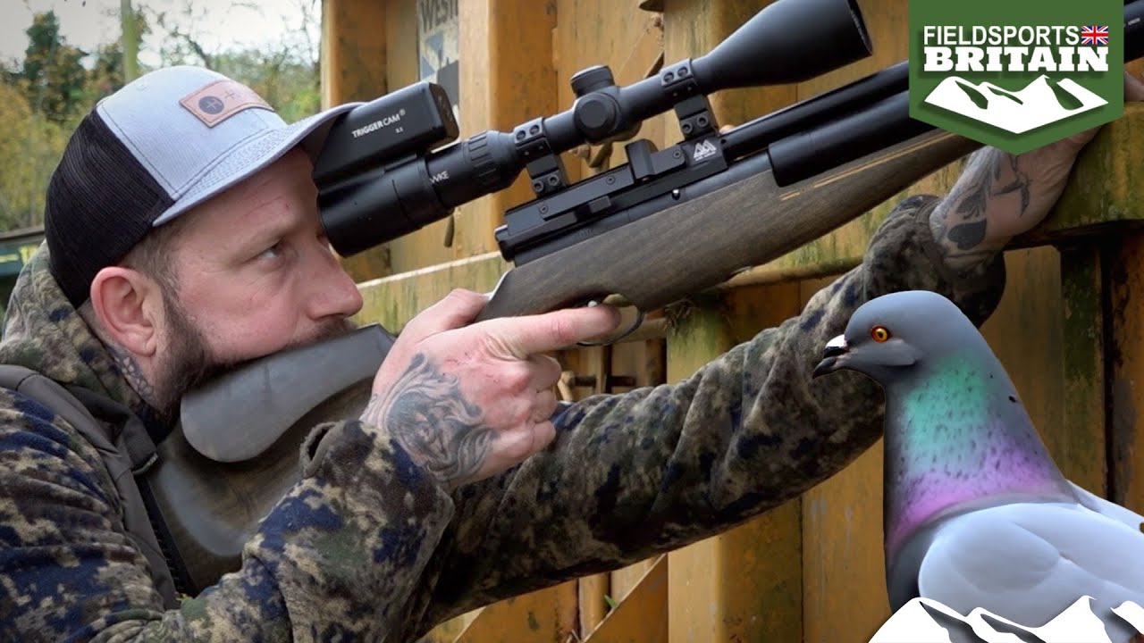 Shooting farmyard feral pigeons with an air rifle