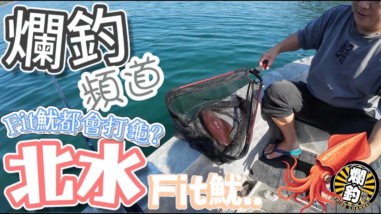 【爛釣頻道】北水Fit魷┃北水艇家┃Fit魷都會打龜?┃#香港釣魚 #釣魚 #北水Fit魷 #4k
