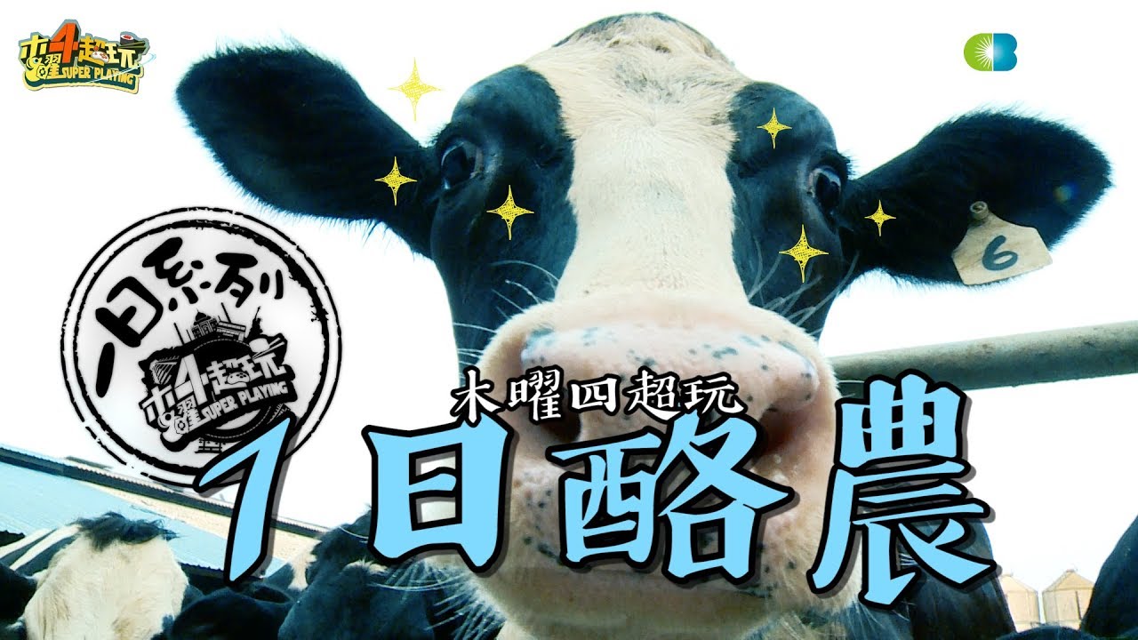 《一日系列第七十一集》邰哥帶著泱泱去農場擠ㄋㄟㄋㄟ！！-一日酪農