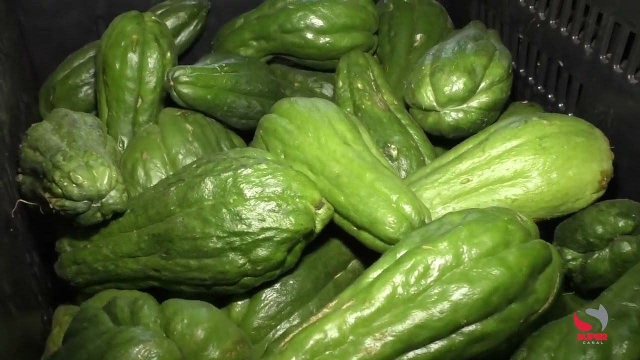 Tomate dispara na Ceasa Caratinga e caixa j&aacute; ultrapassa R$ 160; outros produtos registram queda