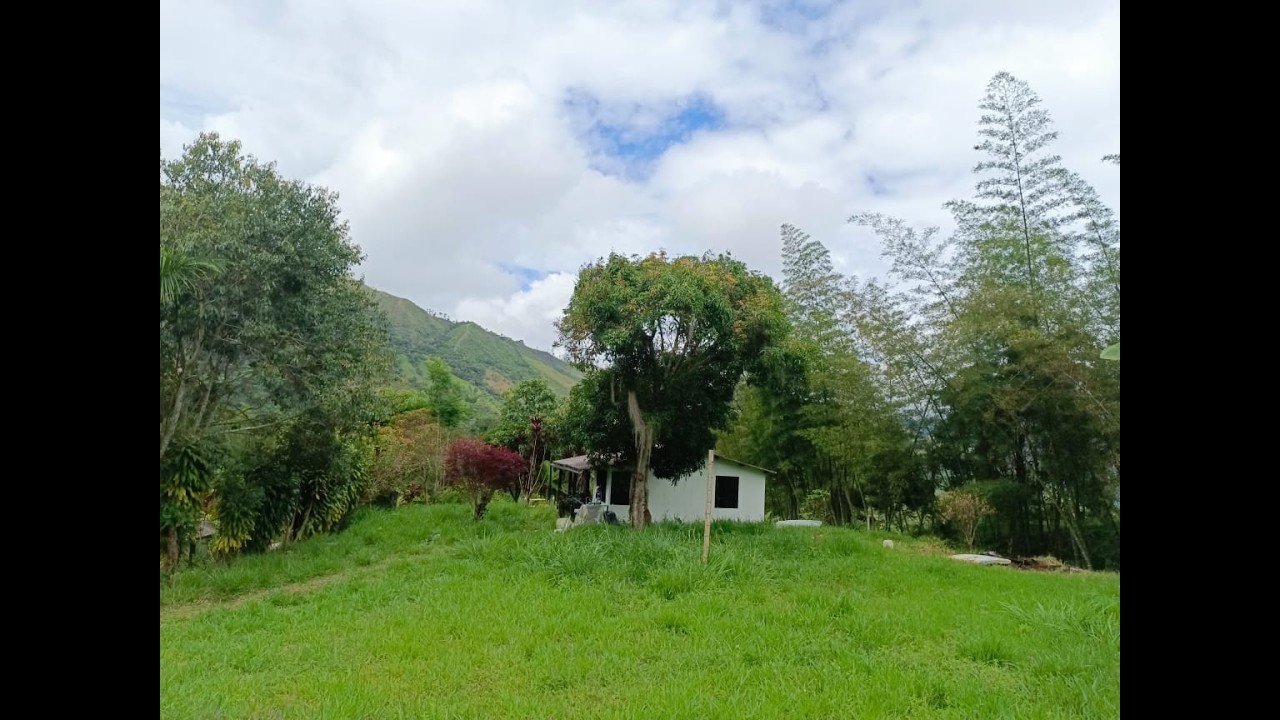 En Venta Finca De 3500 m2 En Pacho Con Hermosa Casa Campestre !escapa A La Naturaleza!