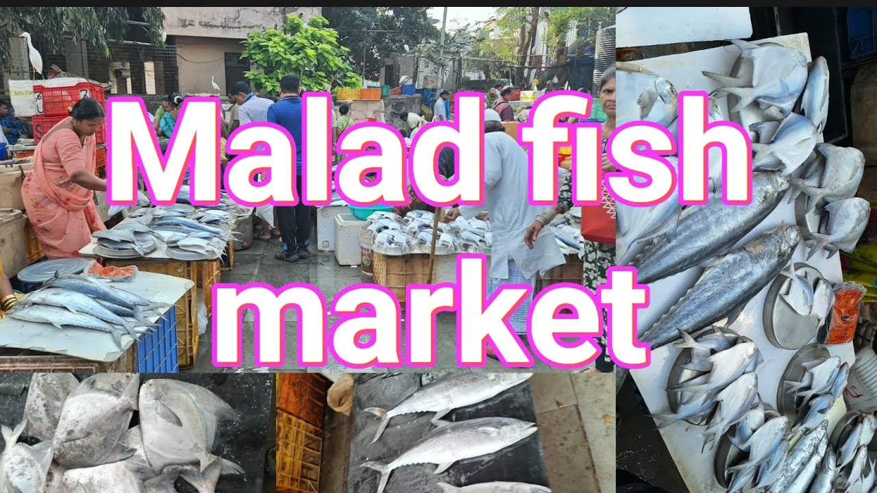 Malad Fish Market – Mumbai Ka Sabse Sasta Aur Fresh Fish Market🐟🔥 #MumbaiFishMarket#MumbaiFood#Rawas