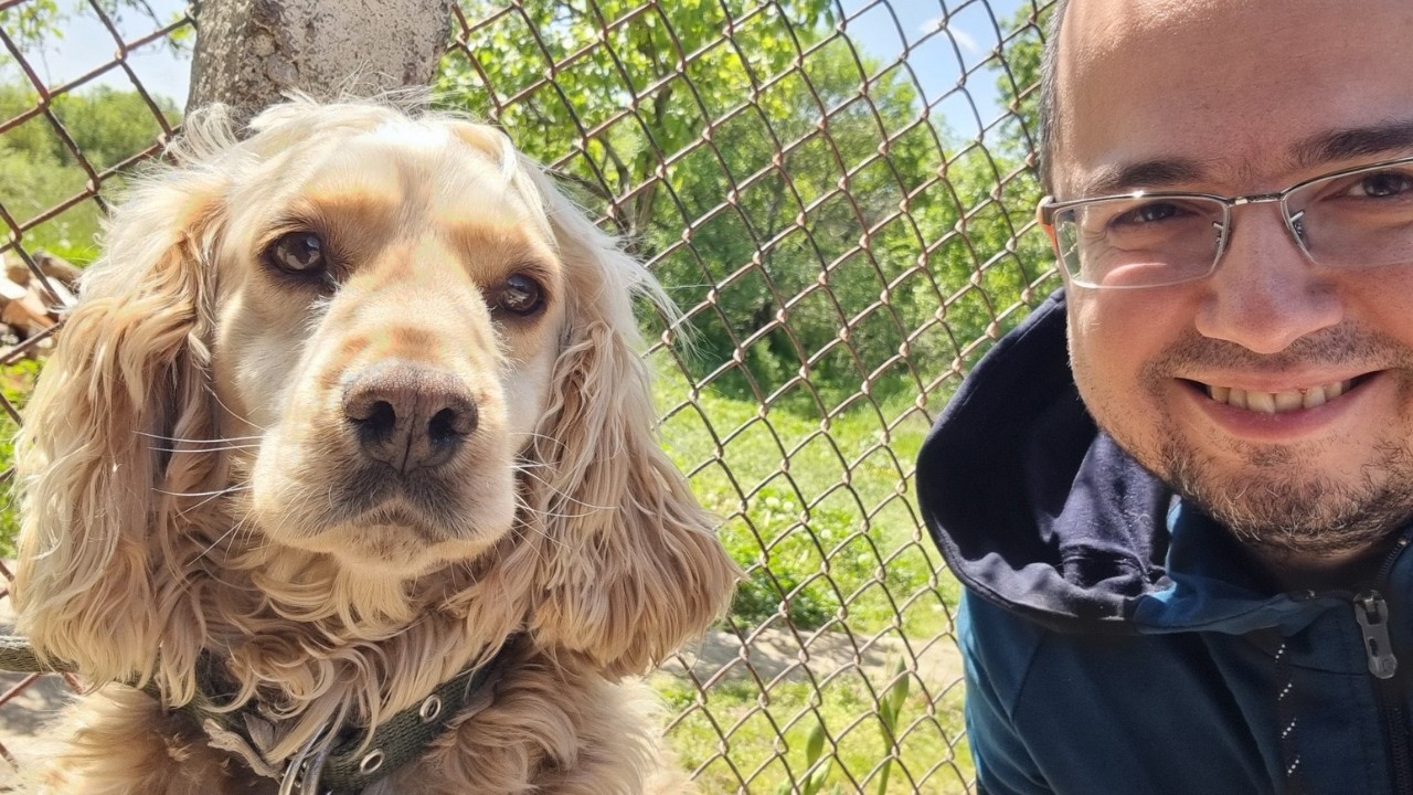 Rocky the dog and a day at the countryside