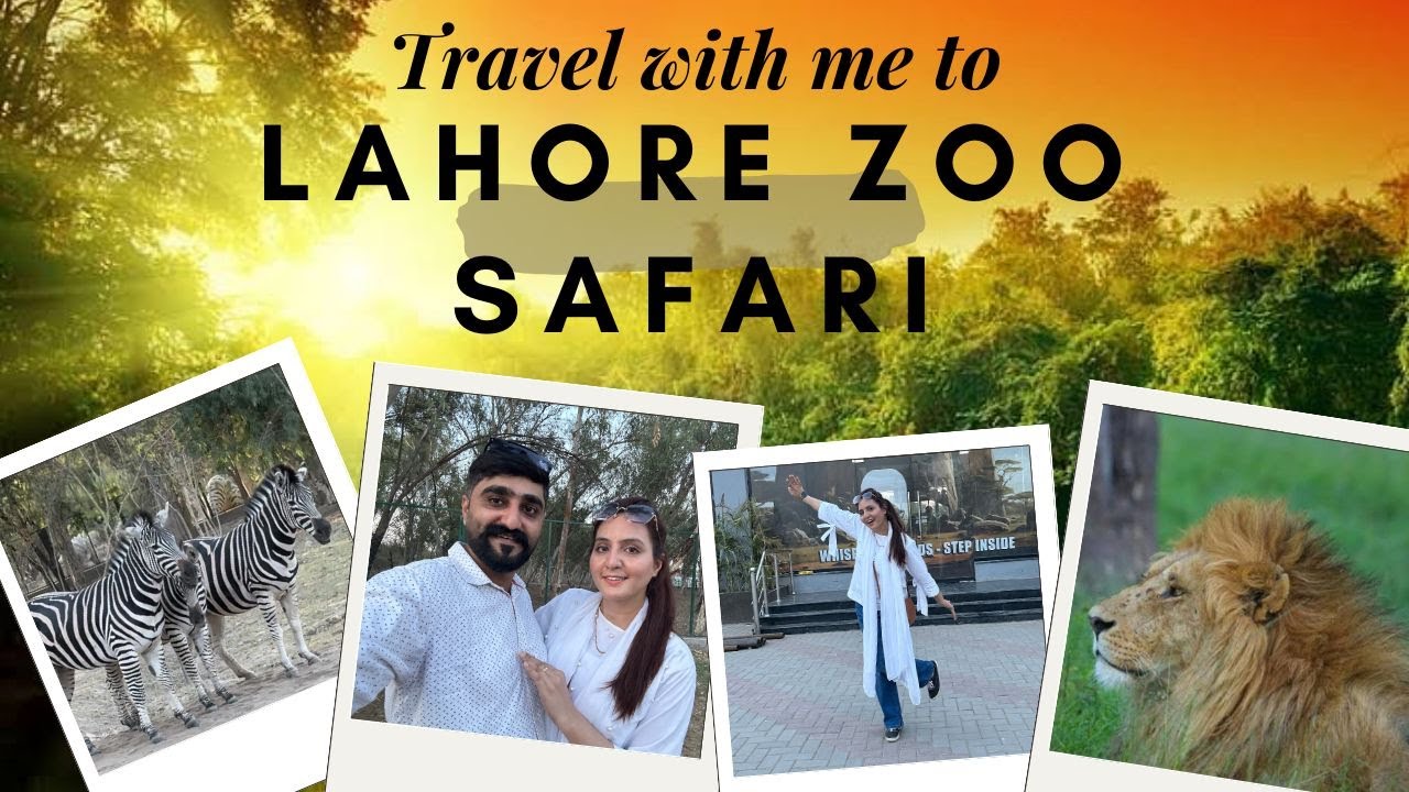 Wildlife Park in Lahore 😍 | Best Place to Visit with Family and Kids 😱 | Lahore Safari Park ♥️