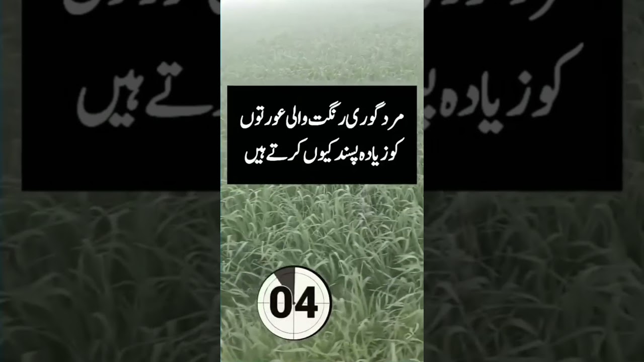 Quran production please my subscribe new channel all friend from video 🙏🙏🙏