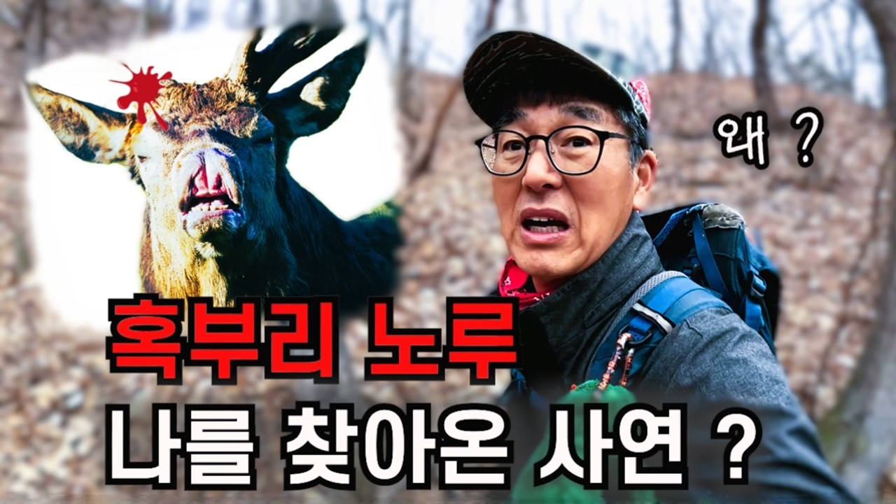처음 보는 야생 동물 ?  혹부리 노루가 나를 찾아온 사연 !