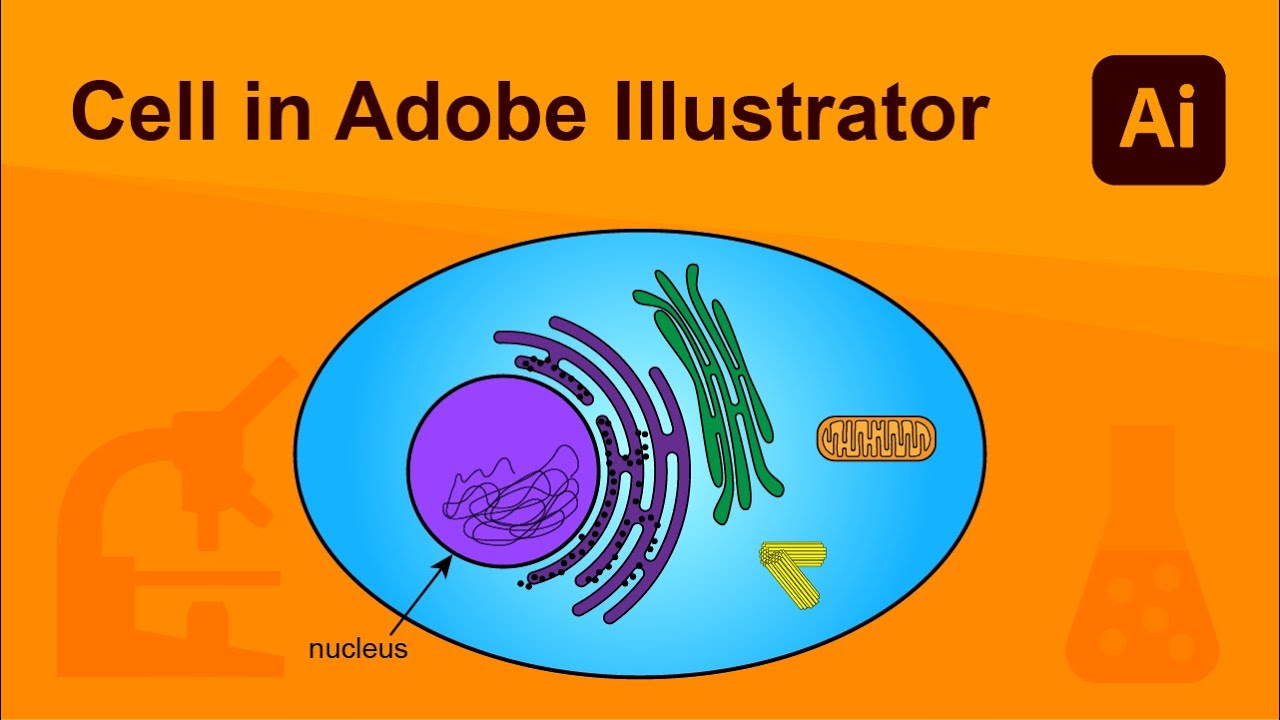 Cell in Adobe Illustrator