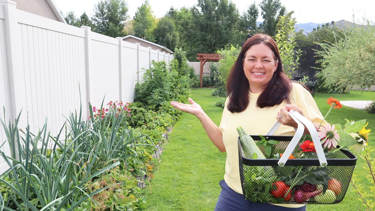 Katies Garden Tour