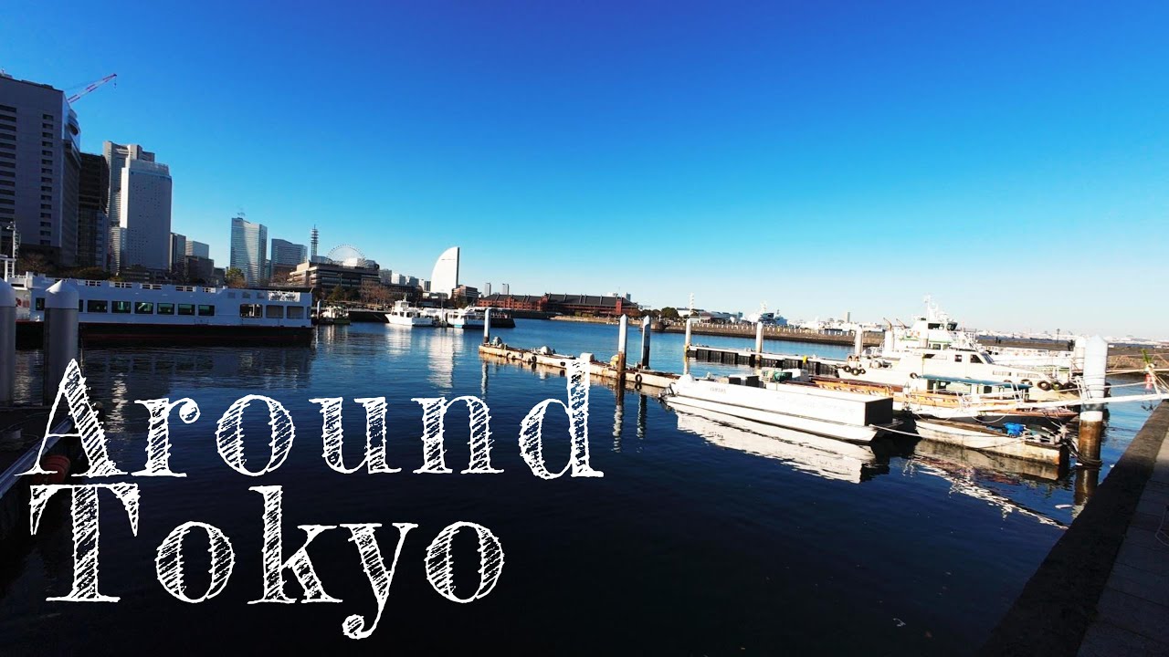 Vlog: Tokyo Mission - A Solo Journey Through the City of Contrasts