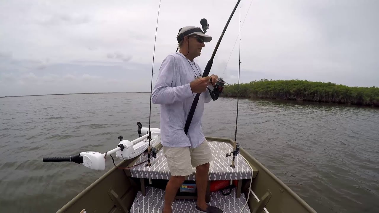 Ozello Redfish, trapping Pinfish, Sharks in the Tarpon hole