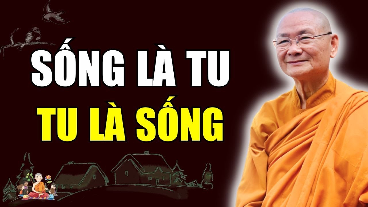 Tu Là Sống, Sống Trong Chánh Niệm Chính Là Tu | Vấn Đáp Thầy Viên Minh