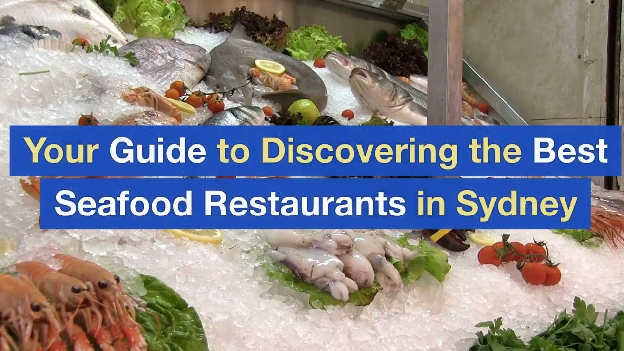 Your Guide to Discovering the Best Seafood Restaurants in Sydney