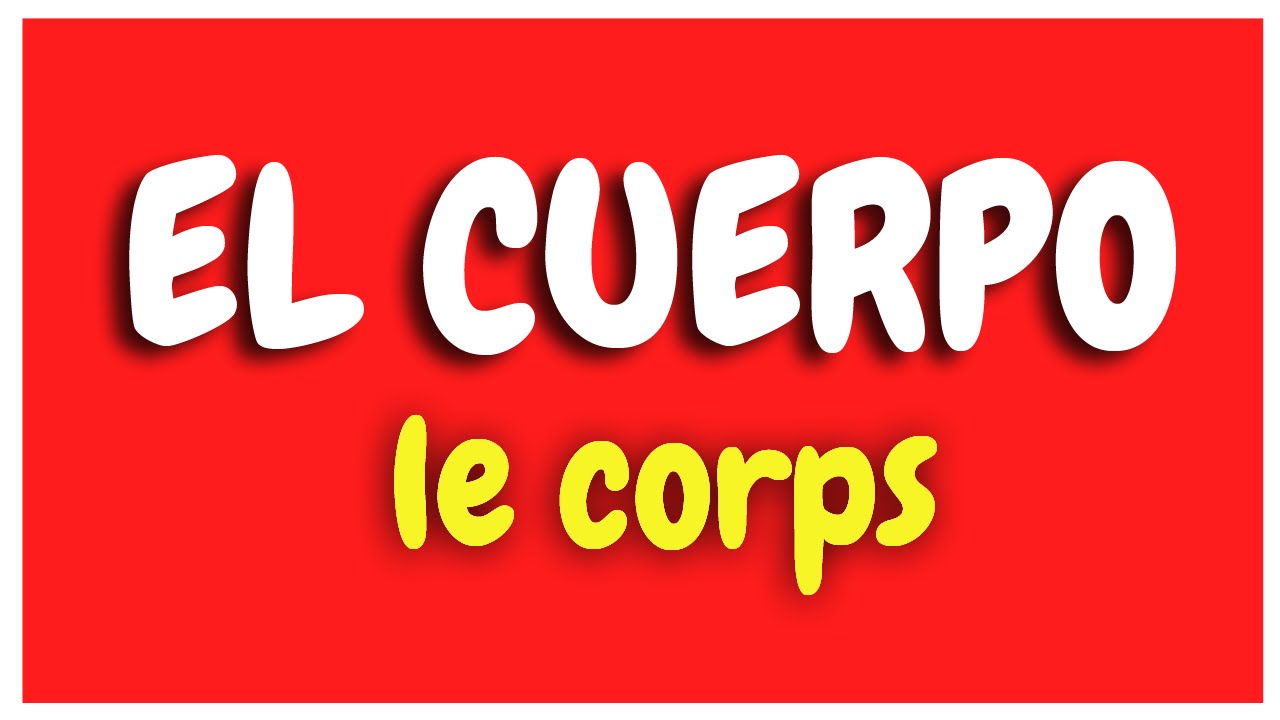 Vocabulaire Espagnol - Le corps (El cuerpo) apprendre l'espagnol HD