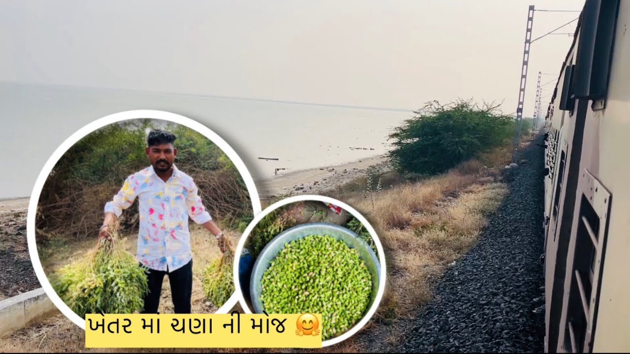 Day -21📈✅ ખેતર માં થી લીધા ચણા ને પછી જવાનું નું છે ભચાઉ #Gujarati video #desivlog #trending #masti