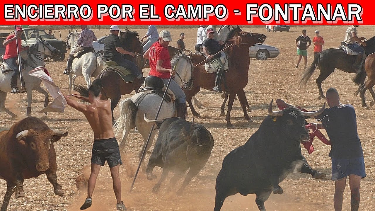 ENCIERRO POR EL CAMPO CON DOS TOROS🙌💥 FONTANAR 2025!!😱