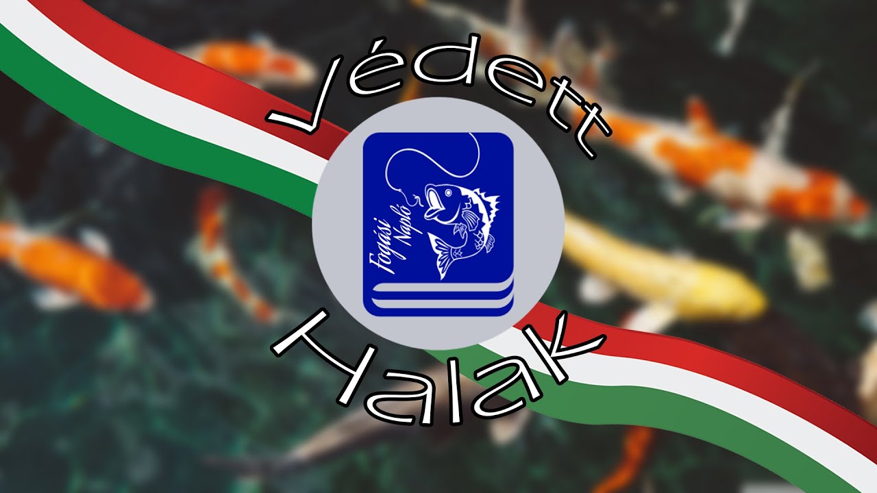 Magyarország Védett Halai | 3.rész