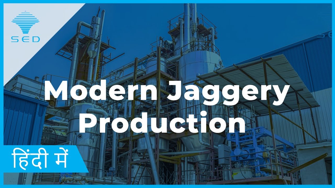 Advance Jaggery Production | Hindi Version | Trueline Media