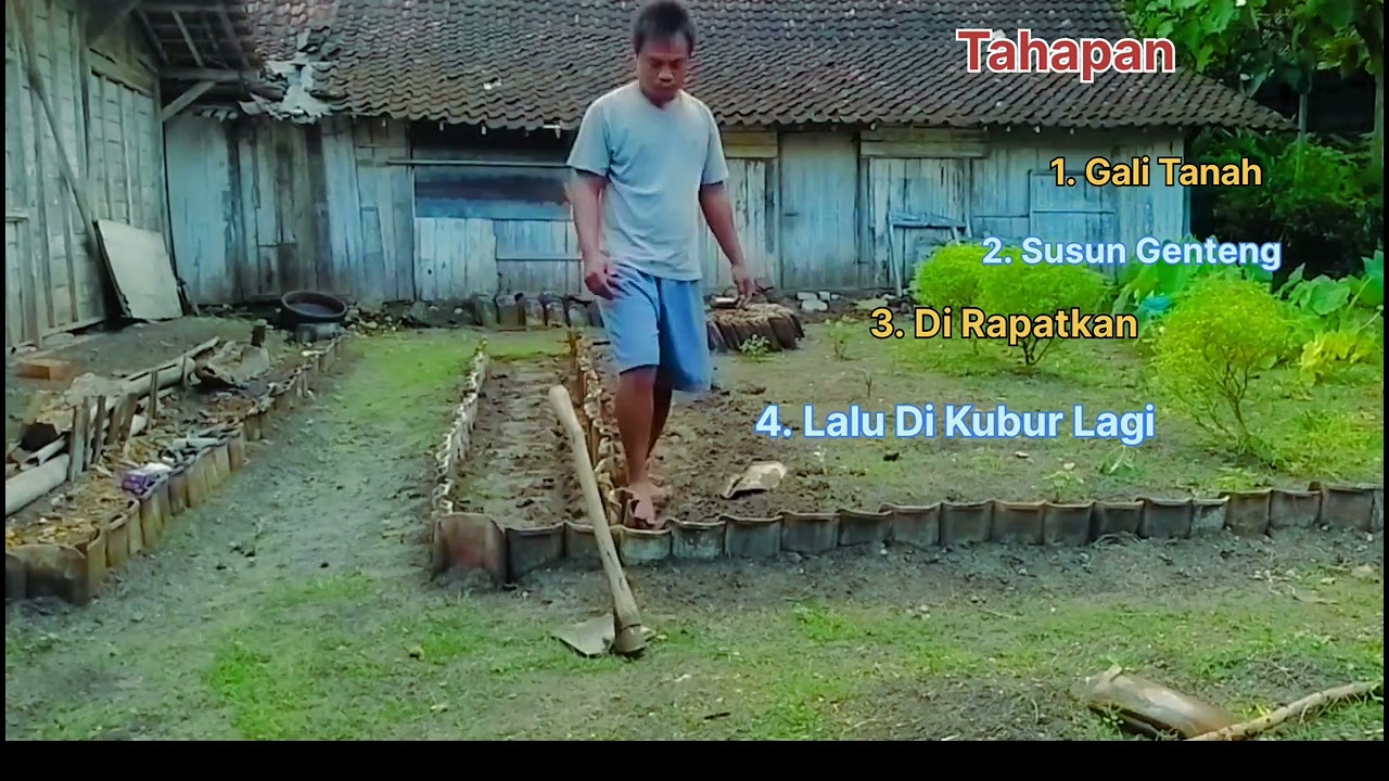 Membuat bedengan sayur sayuran di halaman rumah #berkebundirumah #petanimuda