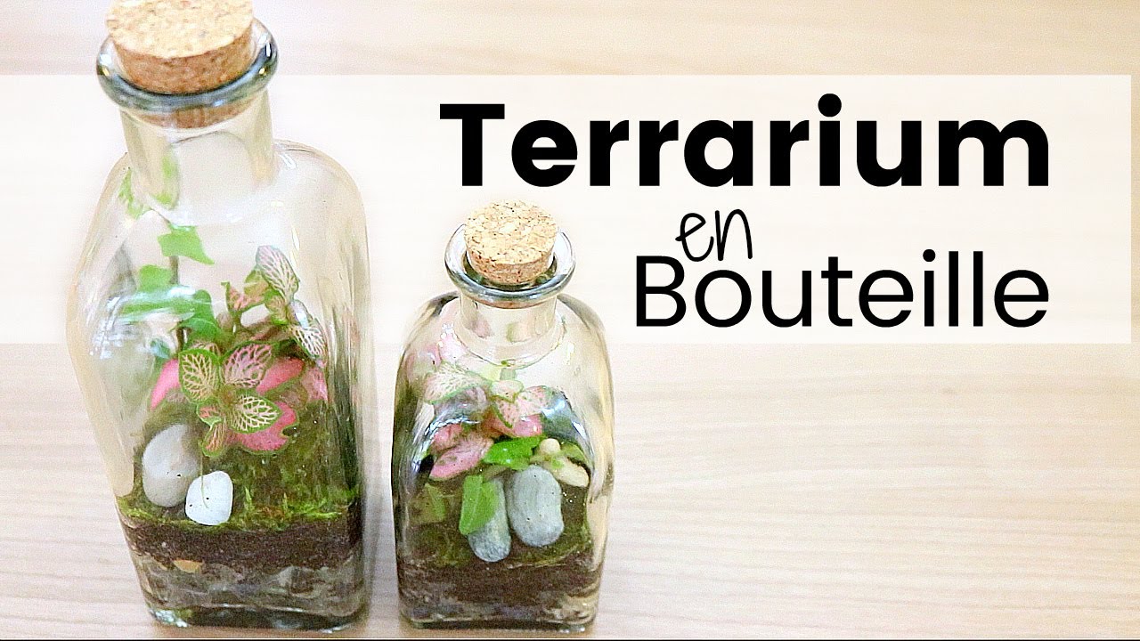 DIY - Comment cr&eacute;er un terrarium en bouteille | Plantes en bocal