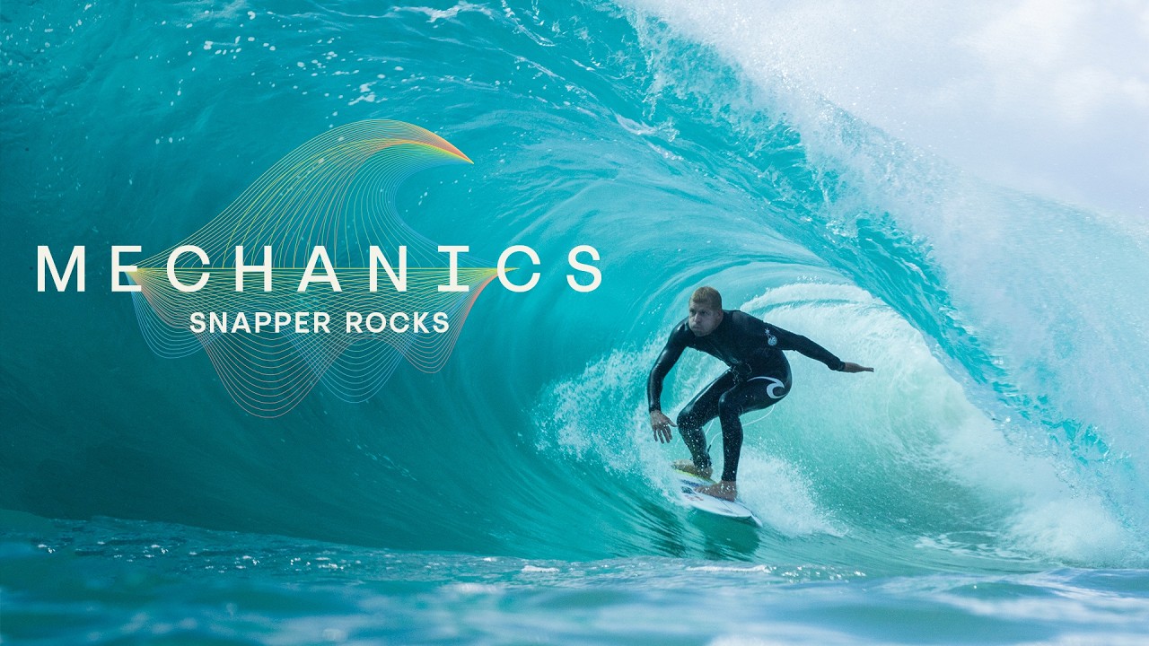 Snapper Wasn&rsquo;t Always Like This: How Science and Nature Created the Superbank