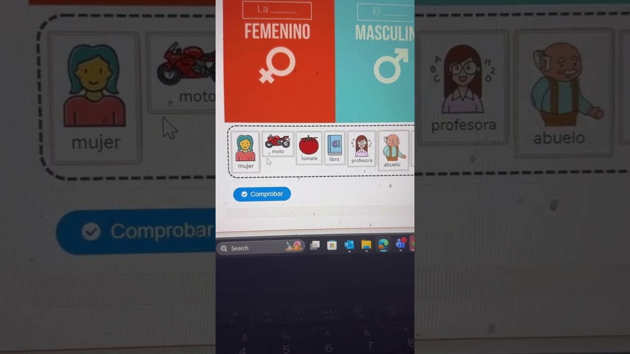 Masculino o Femenino en español 