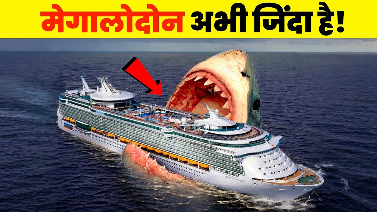 Is Megalodon Still Alive? | AURIO
