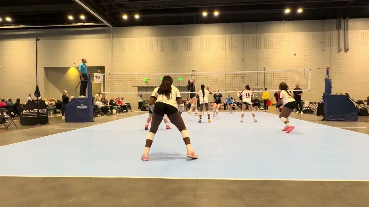 Beast of the Southeast