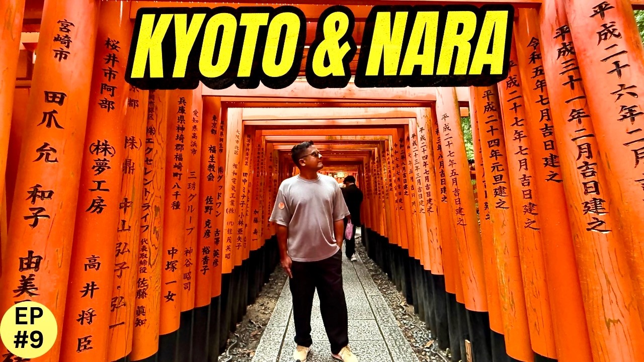 Kyoto & Nara Day Trip From Osaka | Deer Park, Bamboo Forest, 1000 Tori Gates | Japan Travel Guide