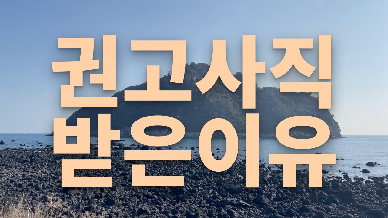 [퇴사브이로그] 권고사직을 받은 이유