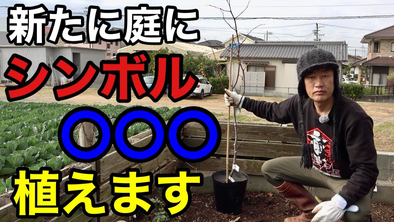 【いよいよ植えます】これが噂のシンボル〇〇〇　【園芸超人カーメン君】