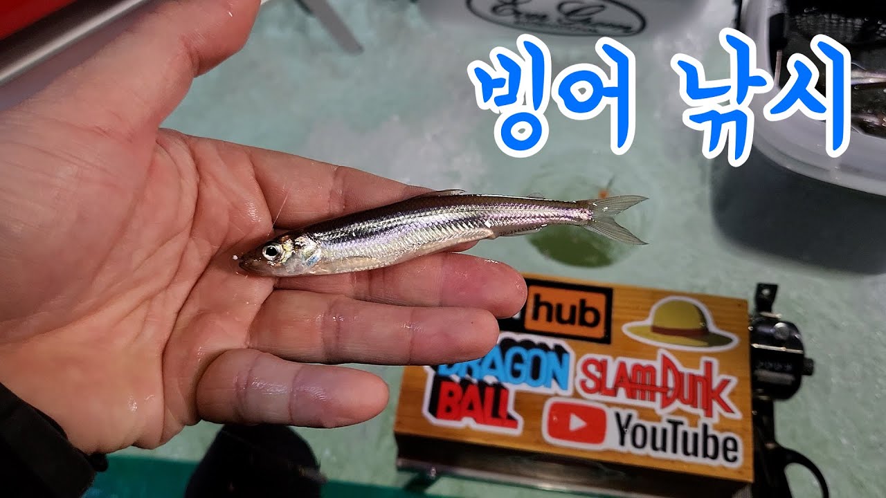 완벽한 빙어 낚시 (ft.빙어 튀김)