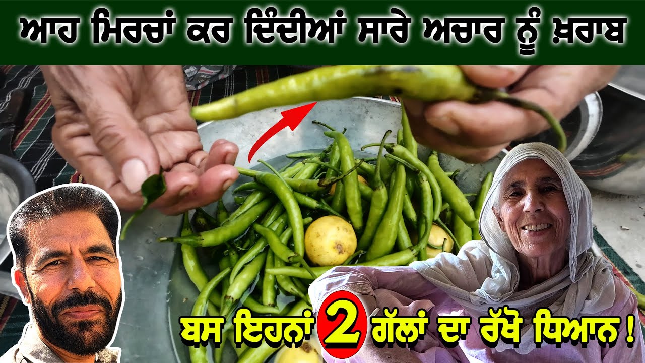 ਆਹ ਮਿਰਚਾਂ ਕਰ ਦਿੰਦੀਆਂ ਸਾਰੇ ਅਚਾਰ ਨੂੰ ਖ਼ਰਾਬ ਬਸ ਇਹਨਾਂ ਦੋ ਗੱਲਾਂ ਦਾ ਰੱਖੋ ਧਿਆਨ | Punjabi Khana Vlog Channel