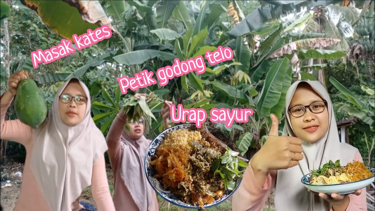 Bestinya nasi ampok‼️urap sayurnya mantul‼️