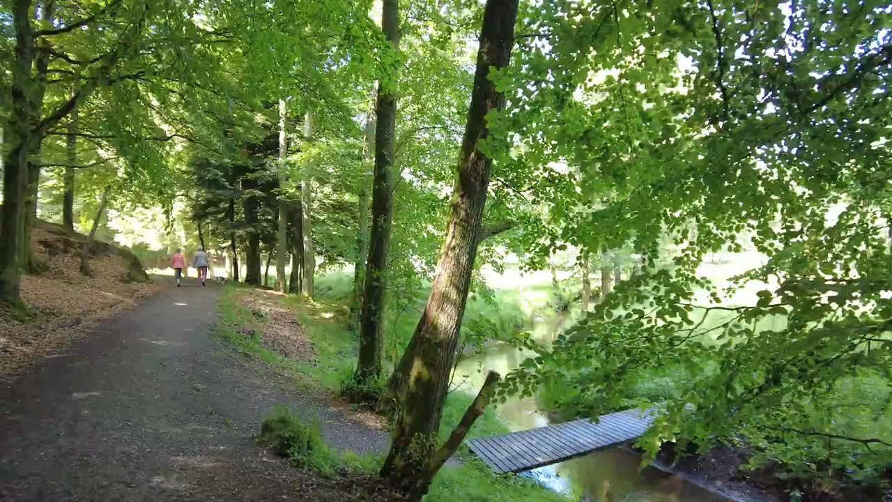 Bangsbo Dyrehave