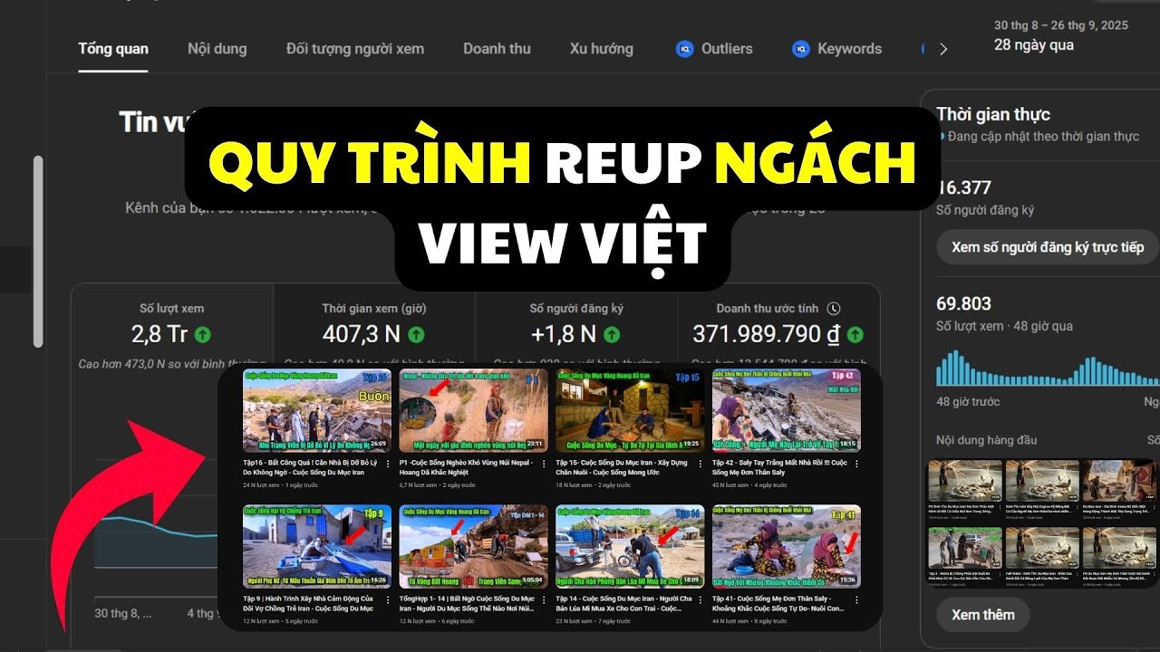 Share Key Ng&aacute;ch Nhỏ View Việt V&agrave; Hướng Dẫn Quy Tr&igrave;nh REUP Ng&aacute;ch 