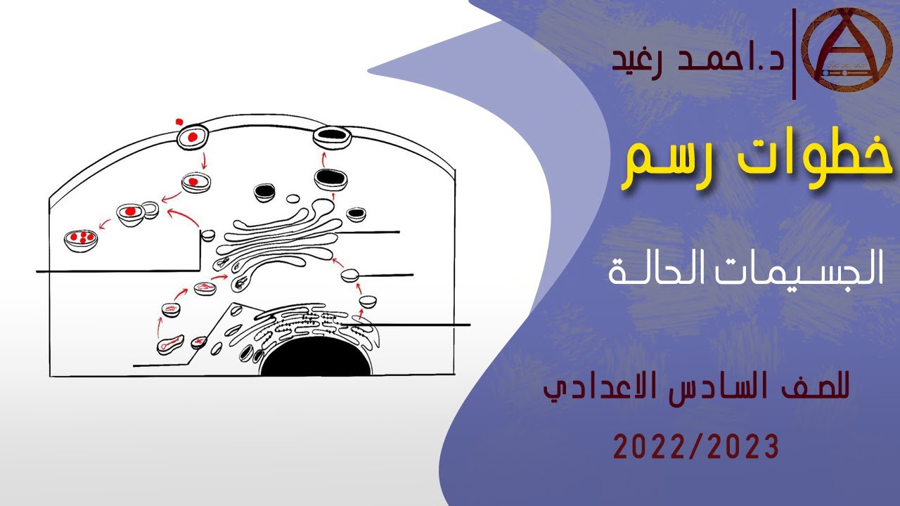 خطوات رسم الجسيمات الحالة بالقلم الرصاص | سلسلة ضمان المجموعة الطبية |