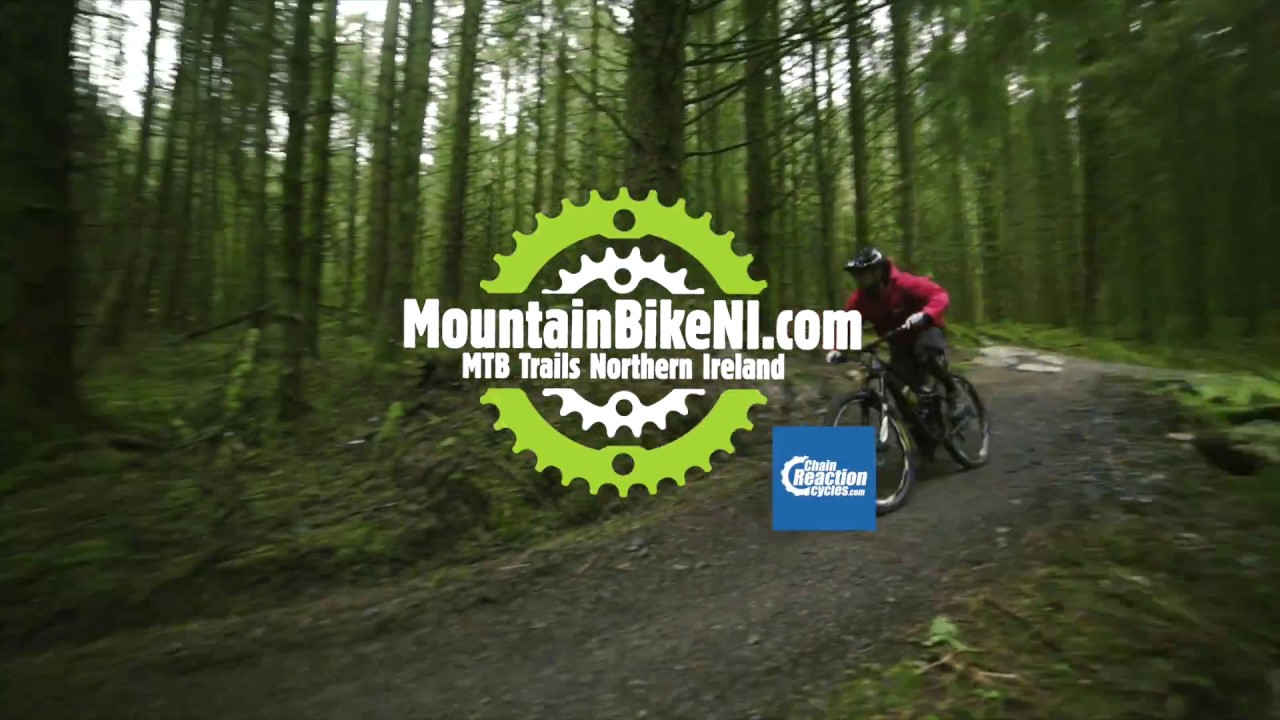 Northern Ireland's Most Iconic Mountain Bike Spots - Stream Trail, Davagh Forest