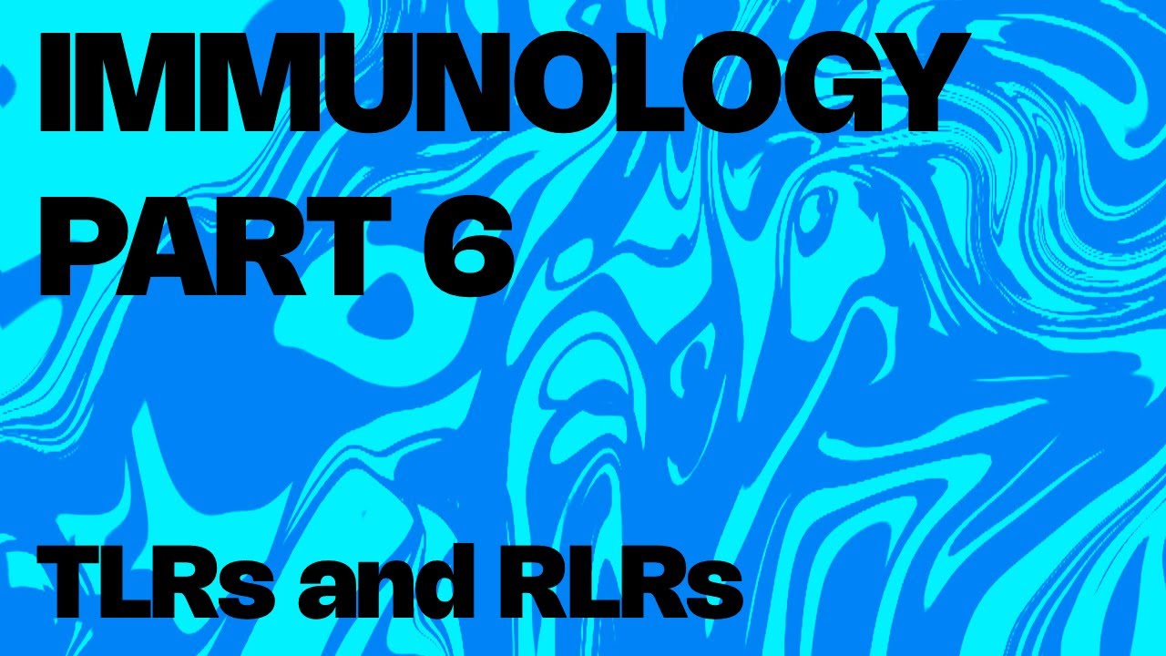 Immunology Part 6  - TLRs and RLRs
