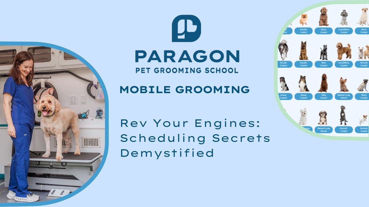 Ep 4: Rev Your Engines - Scheduling Secrets Demystified