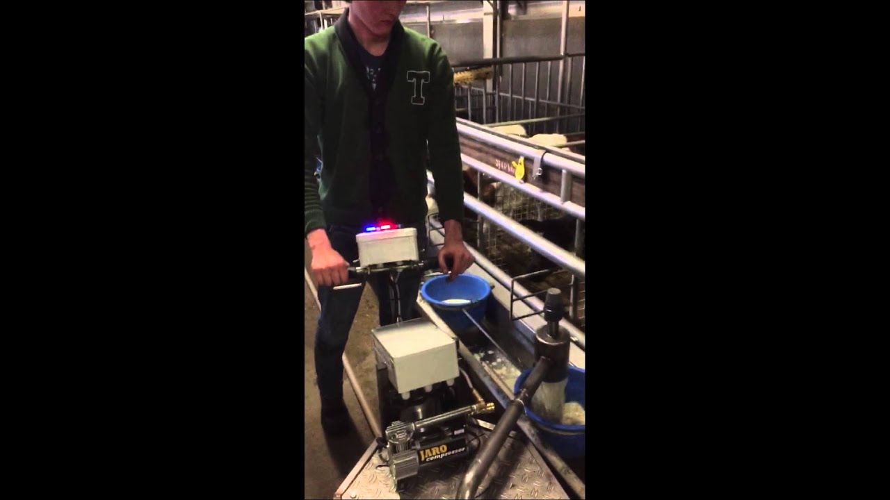 Voermachine nuchtere kalveren