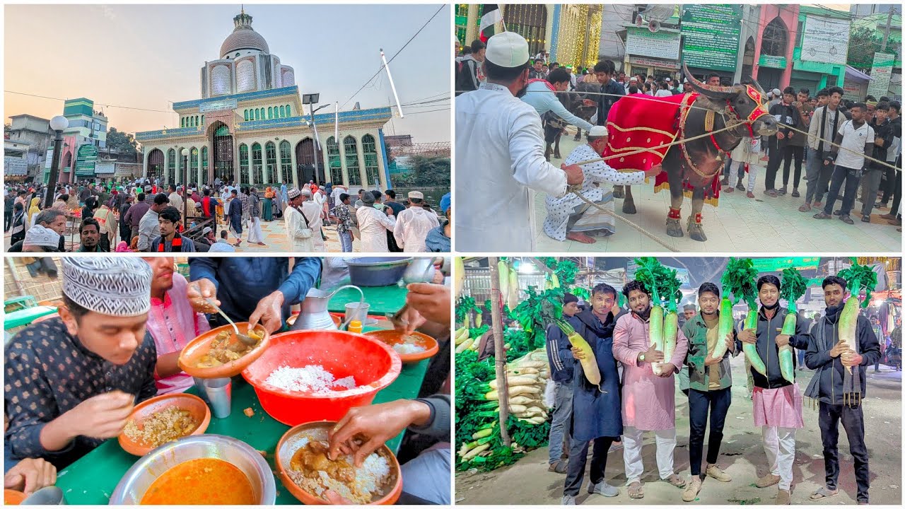 মাইজভান্ডার ওরশ এর সকল কর্মকান্ড আমাদের 🤪