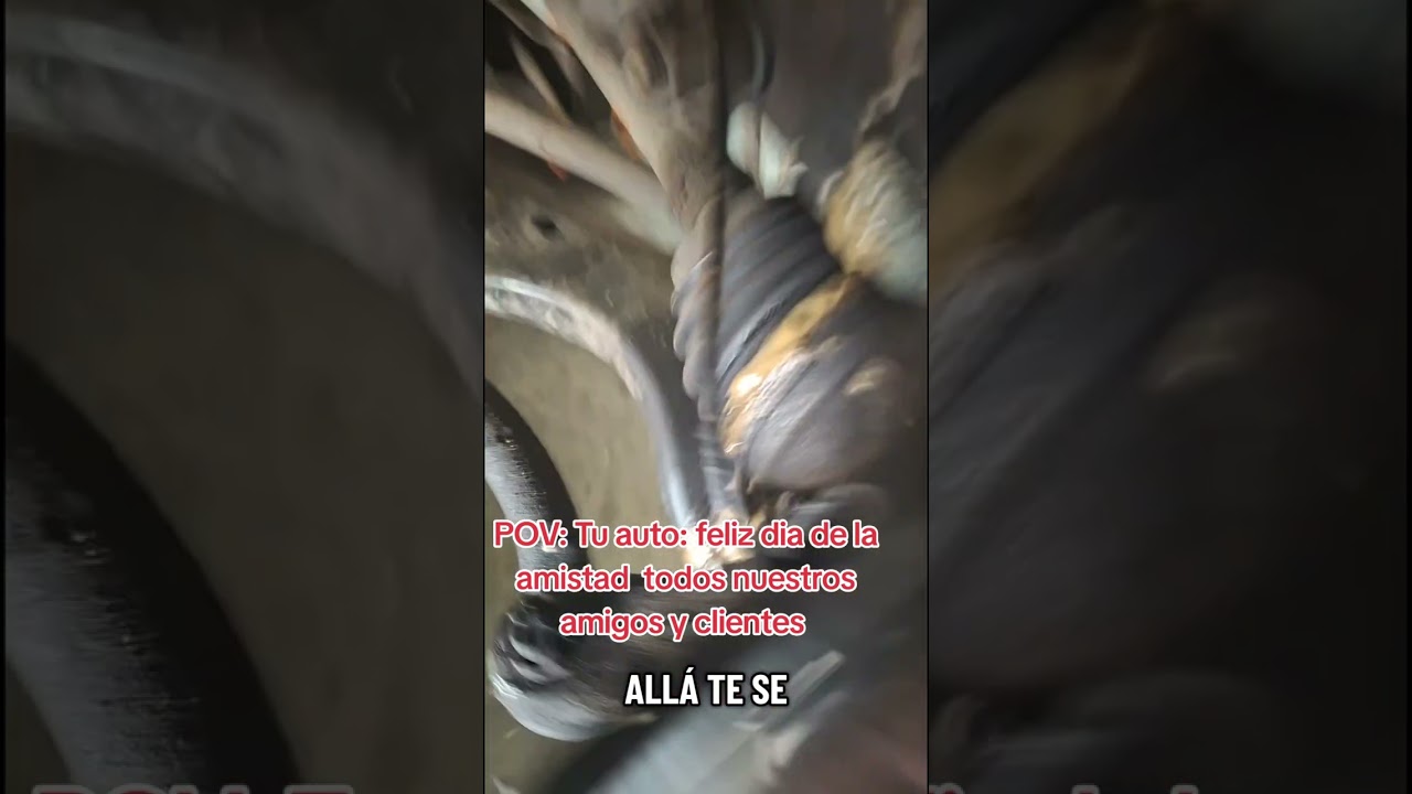 día de la  amistad a todos nuestros amigos y clientes que lo pasen de lo mejor y seguimos trabajanda