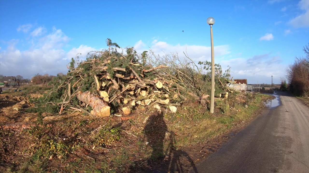 RWE vernichtet/destroys Manheim24.12.19