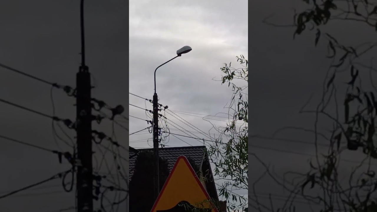 Gołębie Sławka Łowicz 😀🤚. Poniedziałek z rana zapraszam na krótki filmik. Pozdrawiam 🖐️.