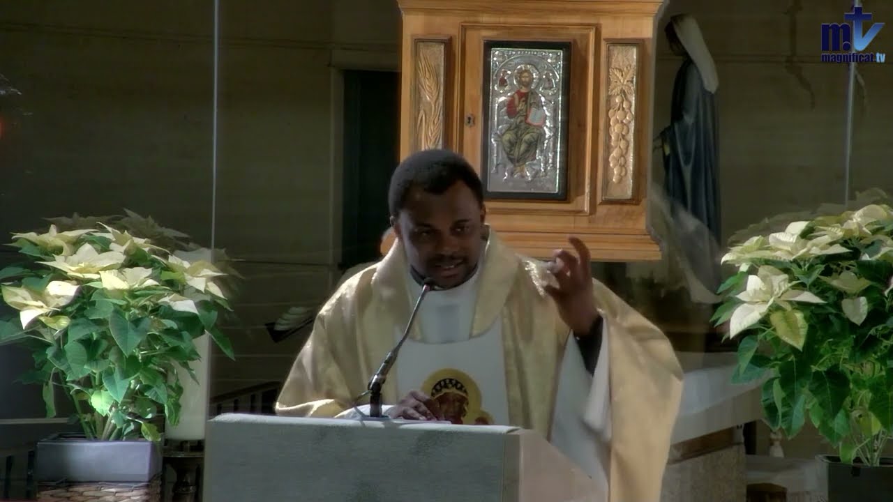 La Sainte Messe du jour | Immaculée Conception de la Vierge Marie | 8-12-2023 | P. José Nkomo, FM
