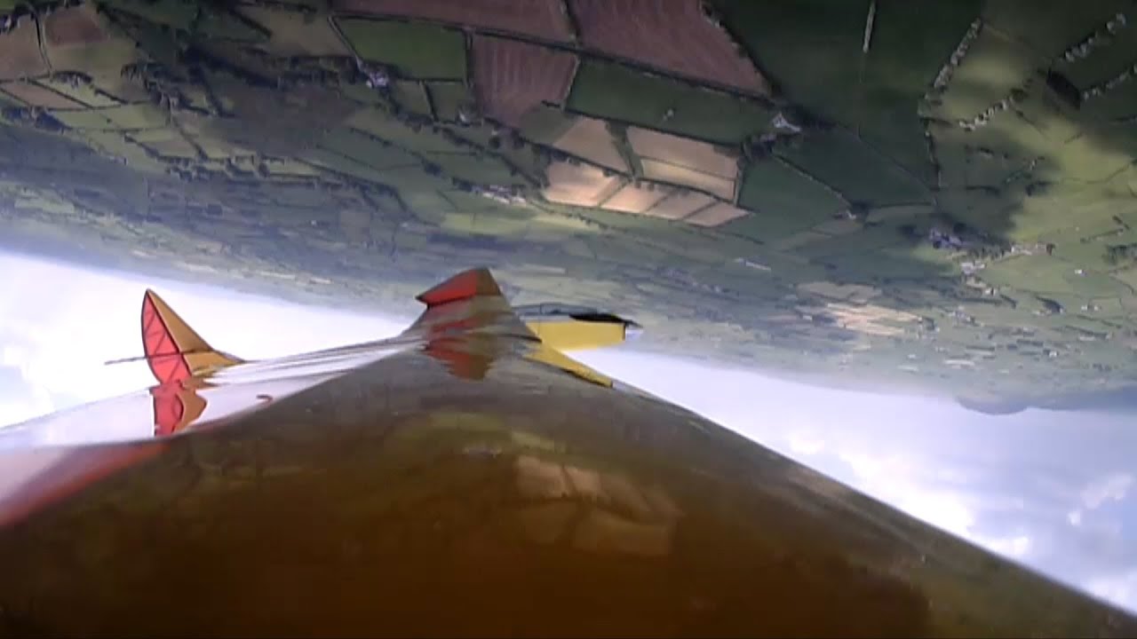 Bird of Time crash.