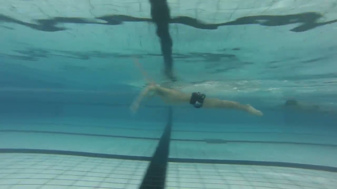 26 02 16.水中動画