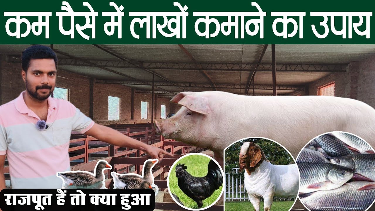 #सूअर+बकरी+मुर्गी+मछली नेवी की नौकरी छोड़ चला रहे शानदार फॉर्म A to Z knowledge