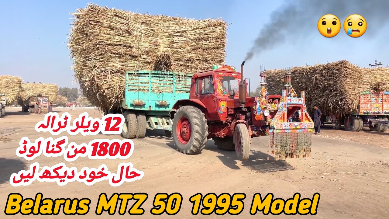 Belarus MTZ | 70 Tonnes Extremely Overload Trailer Carry In Sugarcane Factory